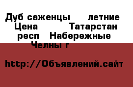 Дуб саженцы 1-3 летние › Цена ­ 100 - Татарстан респ., Набережные Челны г.  »    